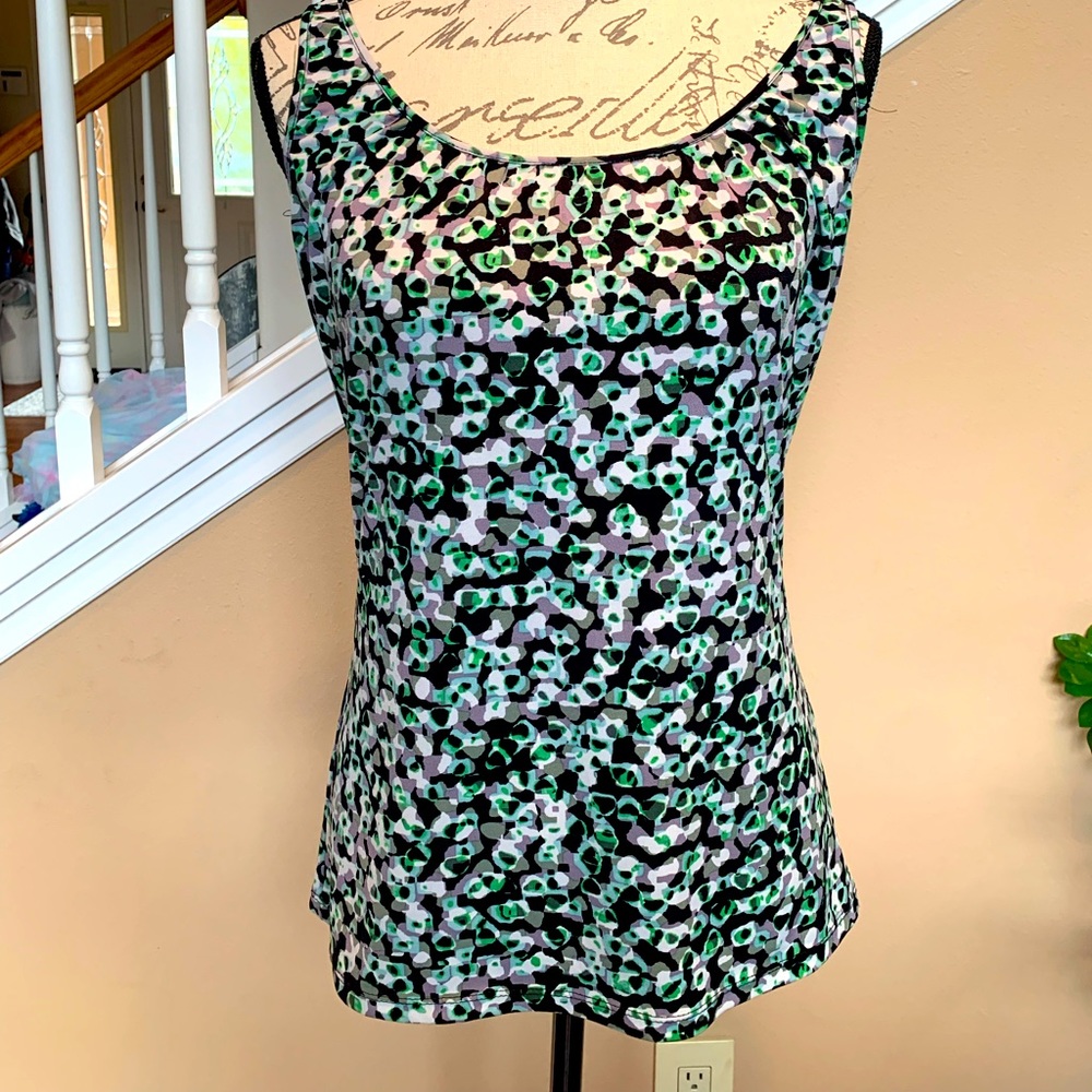 The Limited Size Large blouse.